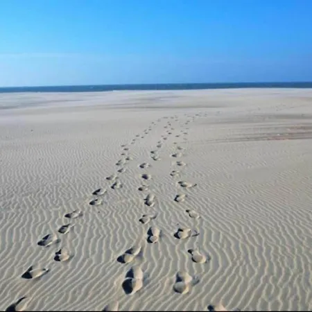 아파트 Apartment In Nieuwpoort Near Sandy Beaches, Cleaning Included *